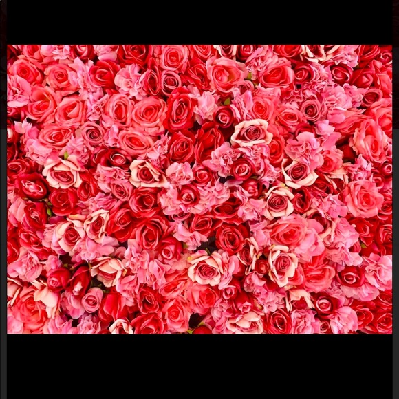 Meet your Posher, Alyssa - Picture 1 of 1